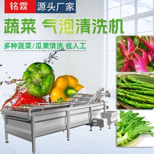 供应豆角芦笋气泡清洗机果蔬清洗流水线全自动莴苣清洗机设备