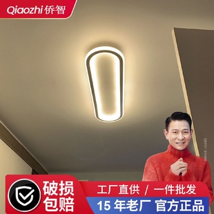 过道灯走廊灯家用现代简约超薄吸顶灯入户玄关灯轻奢长条阳台灯具