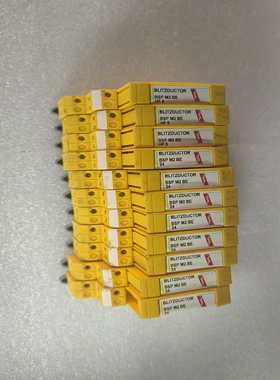 BLITZDUCTOR保护器BSPM2BE2492--议价商品