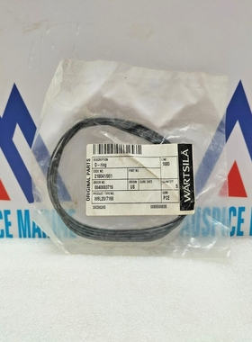Wartsila218041/001ORingPerW6L20/7166-SetDi5Pz