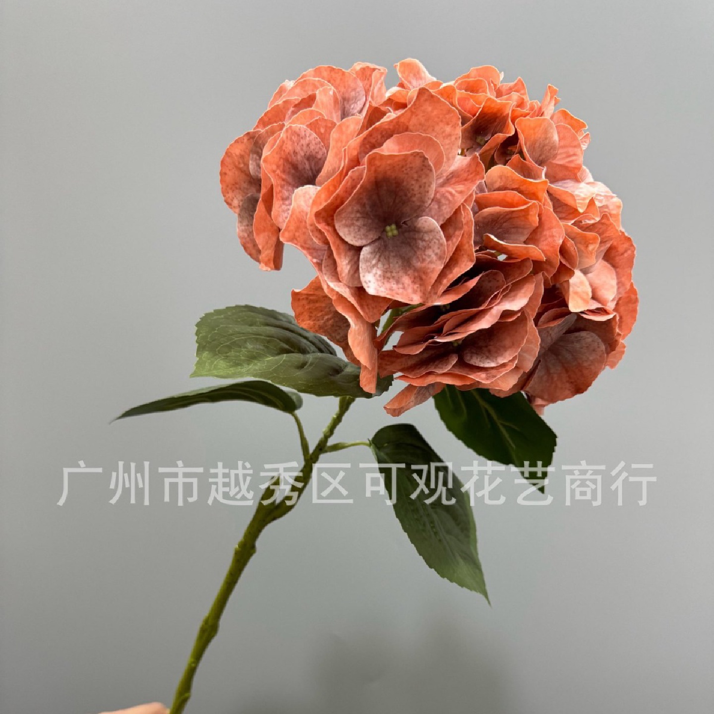 可观仿真单支牙边大绣球带叶梦幻颜色婚庆路引摆设拍摄道具