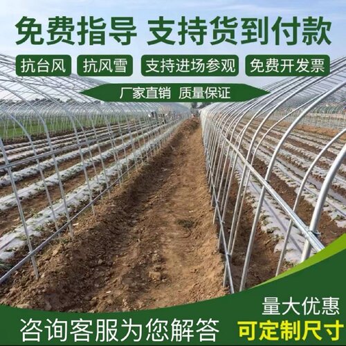 大棚钢管骨架蔬菜大棚热镀锌种植棚温室养殖大棚椭圆管猪鸡棚全套