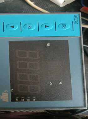 寻..东辉大延仪表DY2000议价