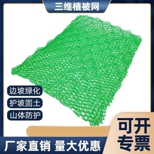 加筋麦克垫阻燃三维植被网土工垫格宾网石笼网鱼塘护坡防泥土流失