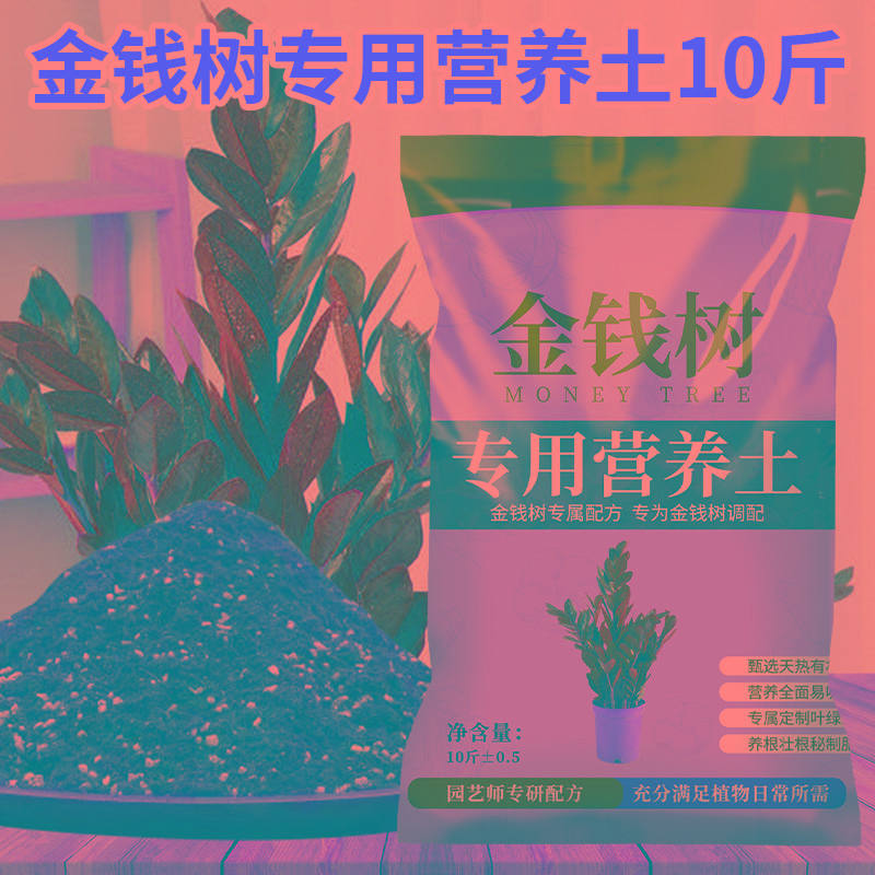 金钱树专用营养土专用肥料金钱树幸福树通用盆栽有机种植土壤