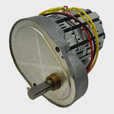 Motor Sincronizador Johnson Electric 220V 50Hz 400V AC