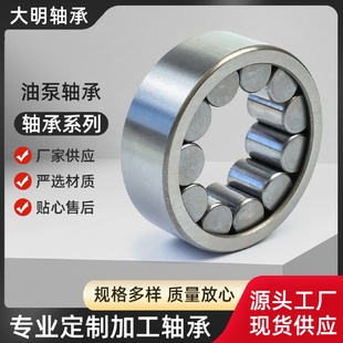 油泵轴承机械液压螺旋滚轮滚针轴承圆柱滚子轴承双列液压泵轴承