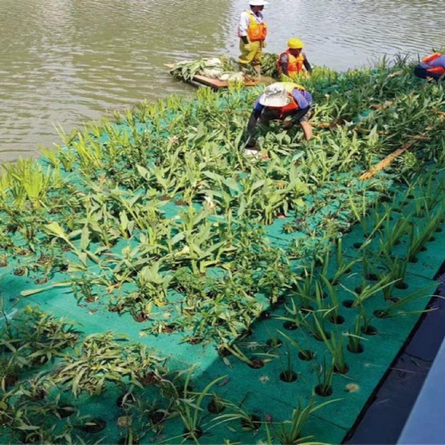 绿化工程鱼塘聚酯纤维浮床浮盘浮床板绿化造景水库飘盘生态浮岛