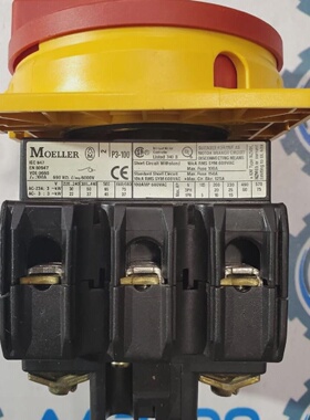 Nuovo Interruttore Disconnettore EATON MOELLER P3100EASVB