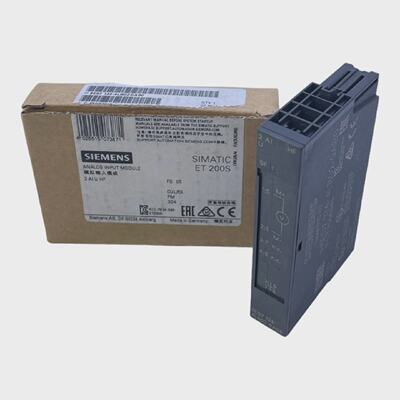 Siemens 6ES71344LB020AB0 SIMATIC DP Electronic Module 2 AI U