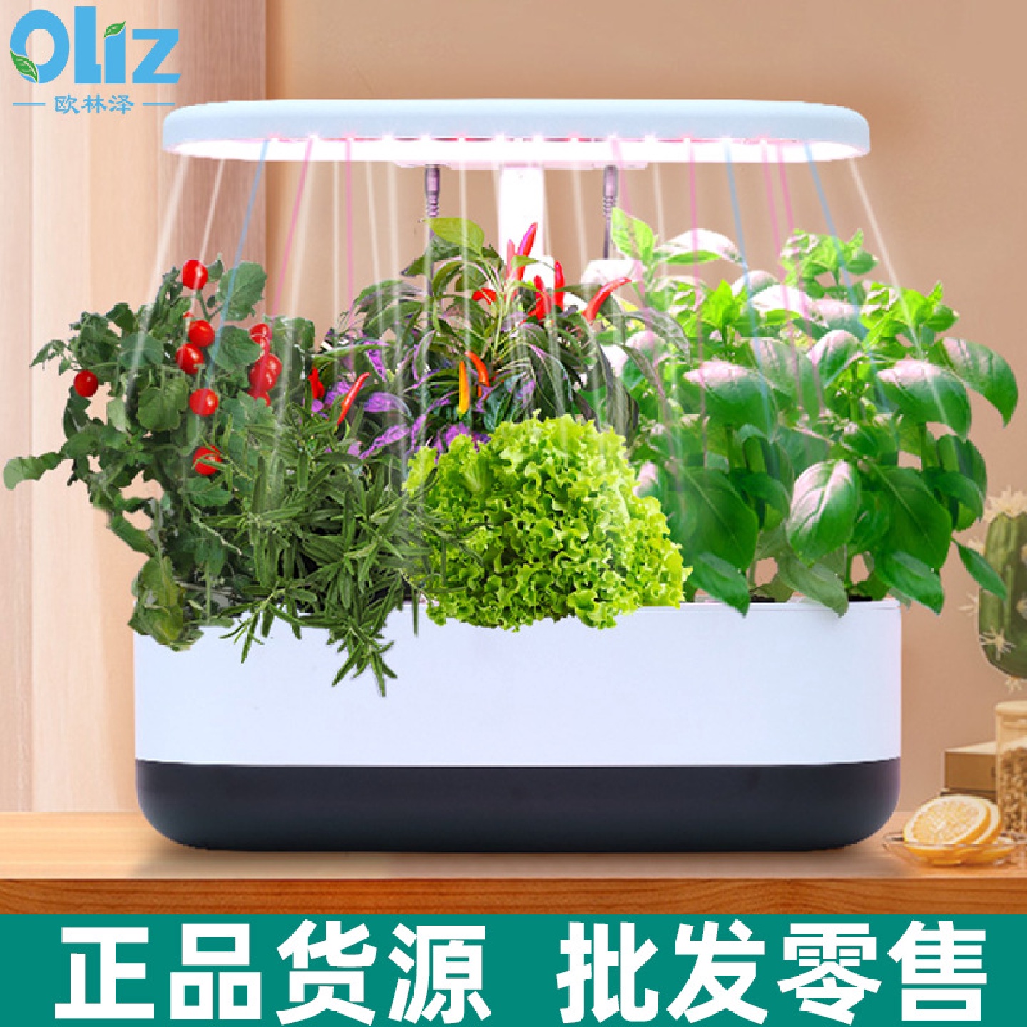 链条