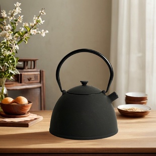 简约素壶铸铁壶带滤网煮水壶泡茶壶家用养生茶具居家摆件饰品 经典