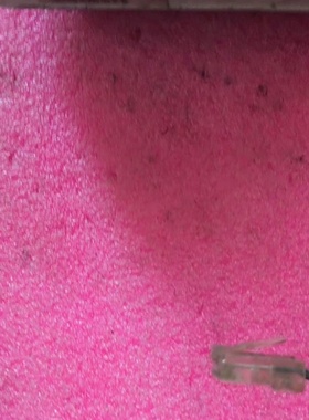 PMS思百吉粒子计数器AIRNET501Particle-议价