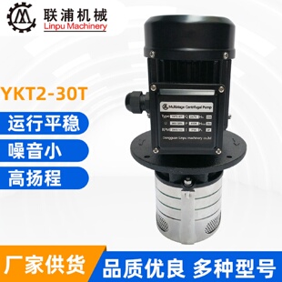 YKT2 工中心油泵标准增压泵 30T立式 CNC机床水泵数控机床加