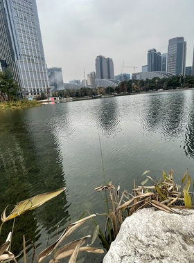 议价XD332REXDE4DAXDE16YR连议价