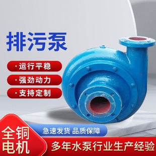 泥浆泵铸铁污水泵杂质泵打桩吸砂泵pw型大流量淤泥泵 PN卧式