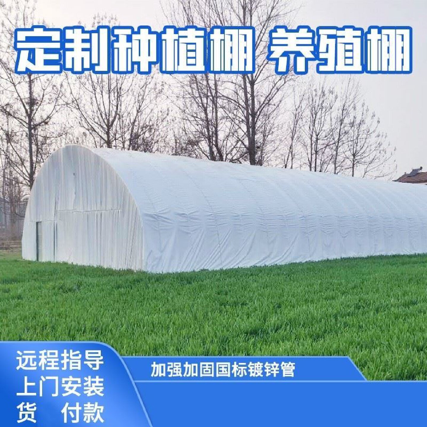 苗木保温大棚连栋薄膜温室连体大棚花卉园艺蔬菜种植镀锌钢管骨架