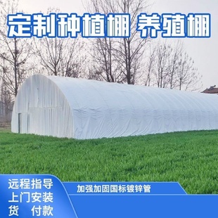 苗木保温大棚连栋薄膜温室连体大棚花卉园艺蔬菜种植镀锌钢管骨架