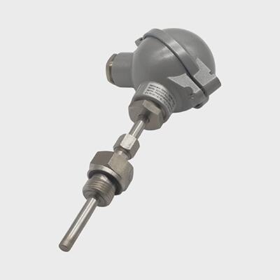 Reckmann 2 x PT100B2LNL125mm WR15B2PT100D300X Temperaturfhle