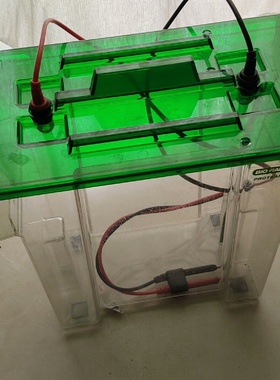BIORAD 电泳槽，邮费自理询价