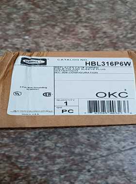 询价全新美国Hubbell电源插头HBL316P6W有7只，原