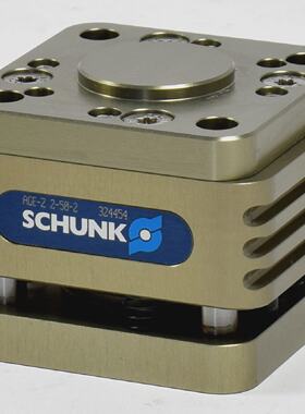 Schunk Ausgleicheinheit AGEZ2502 324454