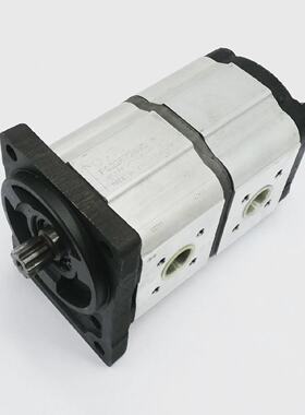 OT OT200 P1108 SB23B2 PS2207288S Zahnradpumpe unused