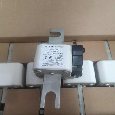 巴斯曼ETN熔断器170M3267保存不当有点灰尘询价