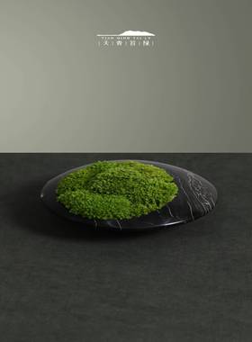 天青苔绿新中式大理石永生苔藓样板间客厅茶室茶几台面装饰品