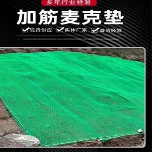 三维植被网聚丙烯加筋麦克垫河道治理护坡固土网垫土工网垫绿滨垫