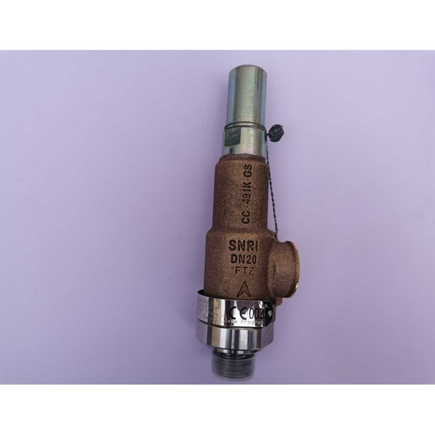 法国SNRI安全阀用于核工业，石油，天然气储运4189-67DDN25