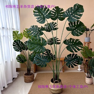 绿植龟背竹散尾葵蓝花楹南天竹橡胶榕室内盆栽假树假花