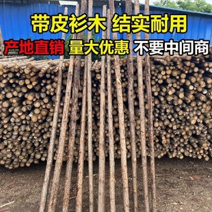 松木桩杉木桩河道打桩木绿化支撑杆落叶松油松户外防汛带皮原木桩