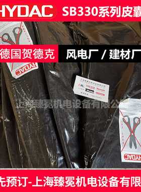 到货376249Blase13L*7/8-14UNF/VGy5NBR20/P460(kompl贺德克皮