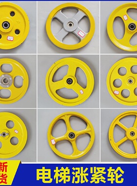 电梯涨紧轮装置日立奥的斯250240*20*6004限速器底坑涨绳轮配件