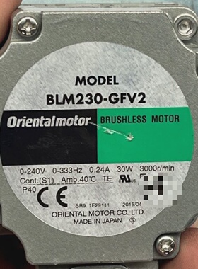 BLM230GFV2GFV2G100-询