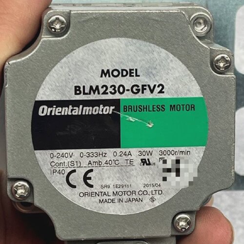 BLM230GFV2GFV2G100-询