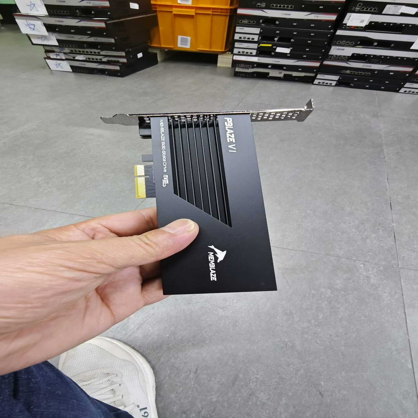 小海豚Pblaze66536/MemblazePBl--议价商品