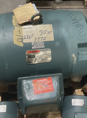 RELIANCE 30HP E2000 P28G3021A DUTYMASTER AC MOTOR U3S