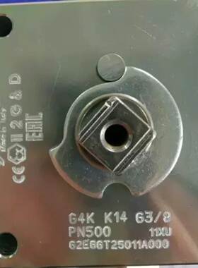 【询价】G2EGGT25011A000 G4K K14 G3/8 P