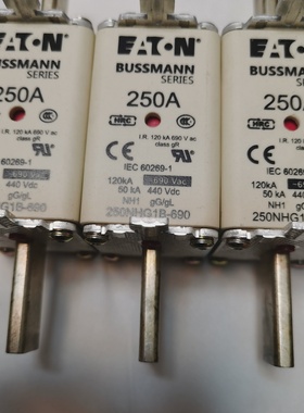 巴斯曼快速熔断器250NHG1B690250A690V-议价