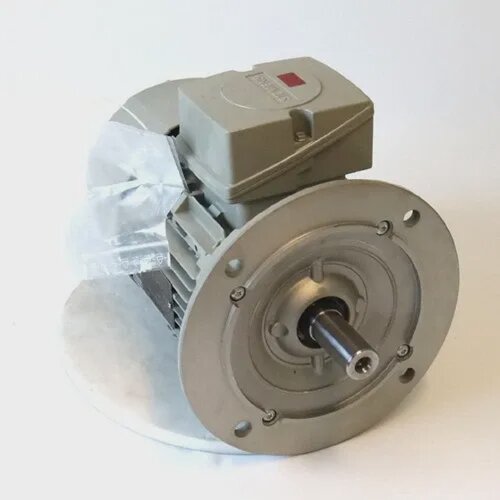 询价-Low Voltage Motor 1LE10011AB5