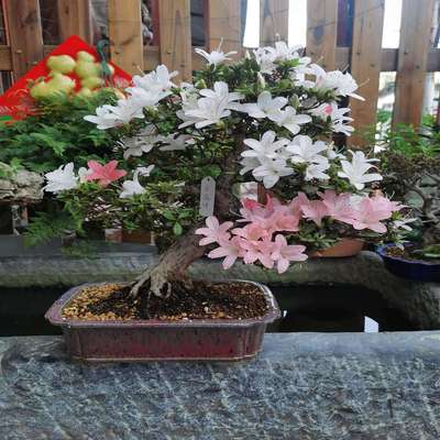 德国莱驰retsch，德国仪器，~询价