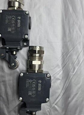 Pizzato FL602-M2R24限位开关，全新有划痕！--议价商品
