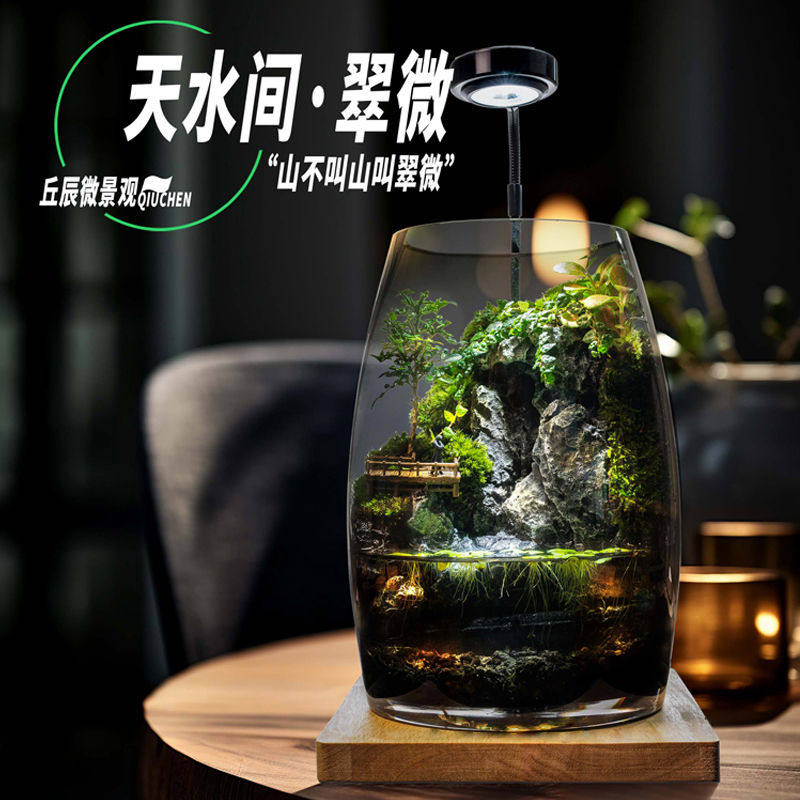 丘辰苔藓微景观养鱼生态瓶办公桌面摆件客厅DIY造景盆栽生日