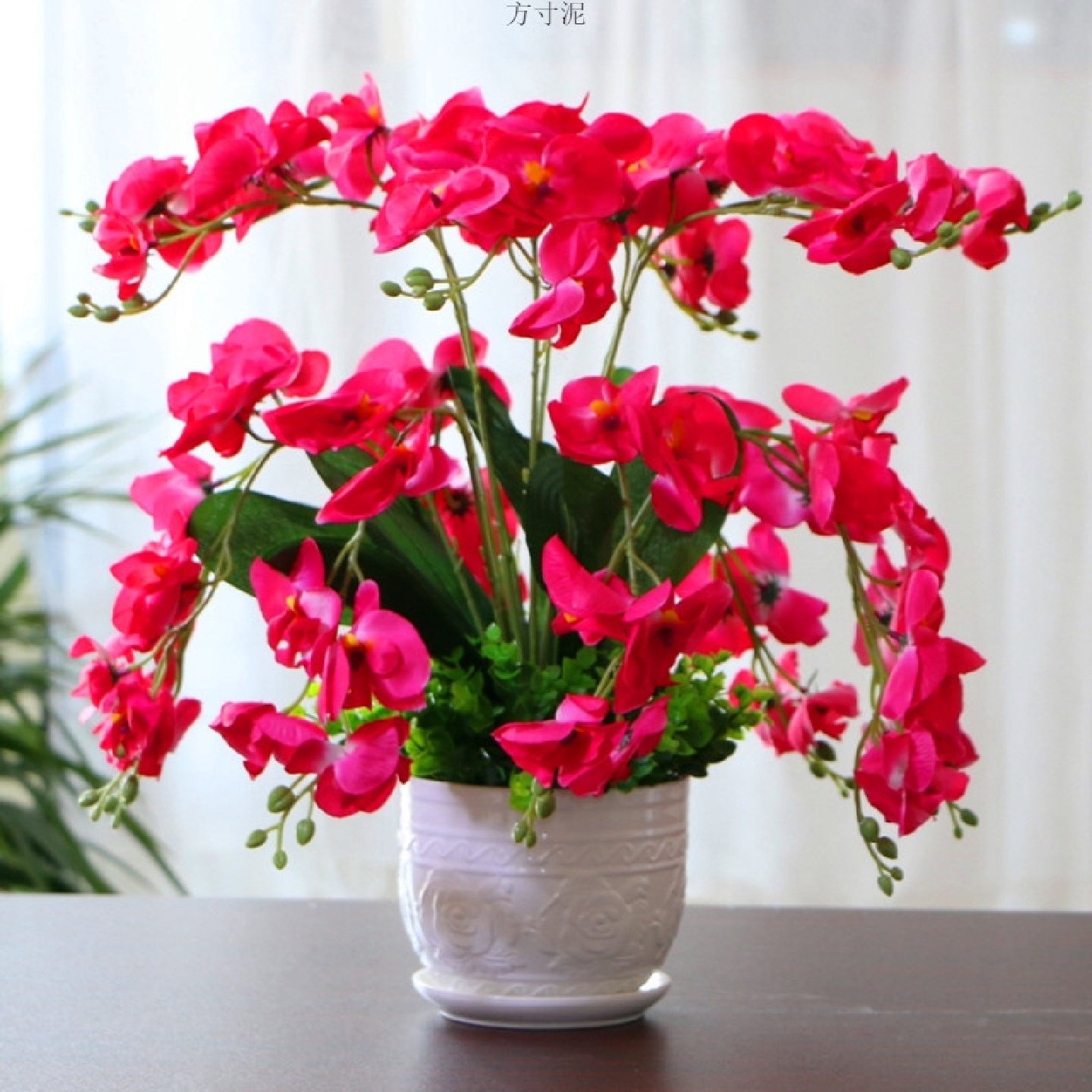 蝴蝶兰仿真花塑料花假花干花客厅摆件餐桌电视柜办公室摆放装饰花,包装,快递中转袋,淘宝优惠券,粉丝福利购,淘宝优惠卷