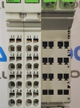 Rexroth Module RIB IL AI 8SFPAC  R911308493102