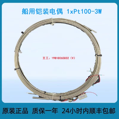 迅船用铠装电偶1xPt1003W