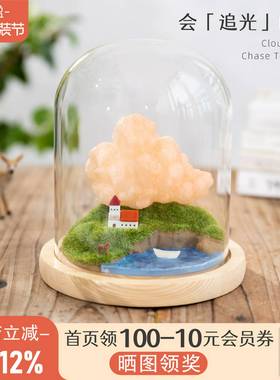 阿楹云朵治愈情绪稀奇古怪摆件高级小众工位微景观艺术实用礼物