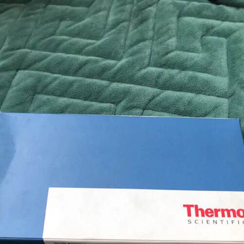 议价45350031 thermo分流直式衬管赛默飞液相离子分析保护柱